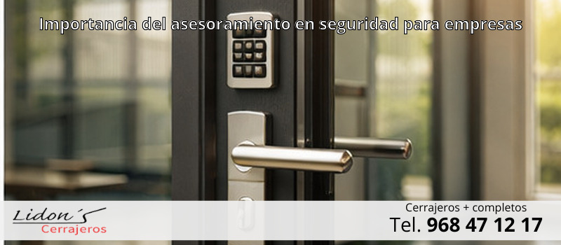 Importancia del asesoramiento en seguridad para empresas Importancia del asesoramiento en seguridad para empresas