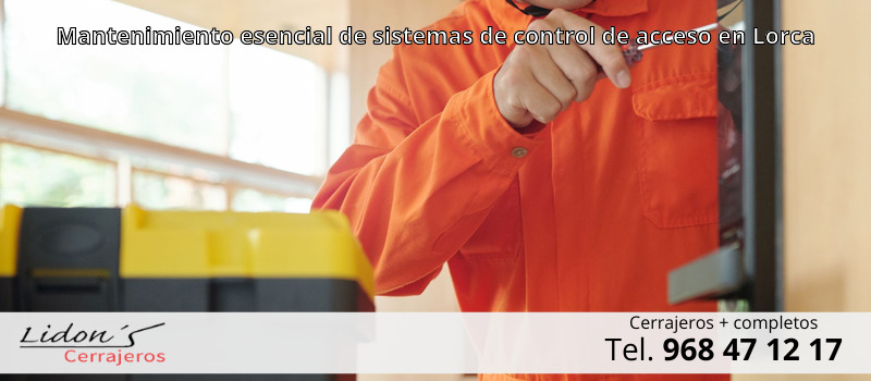 Mantenimiento esencial de sistemas de control de acceso en Lorca